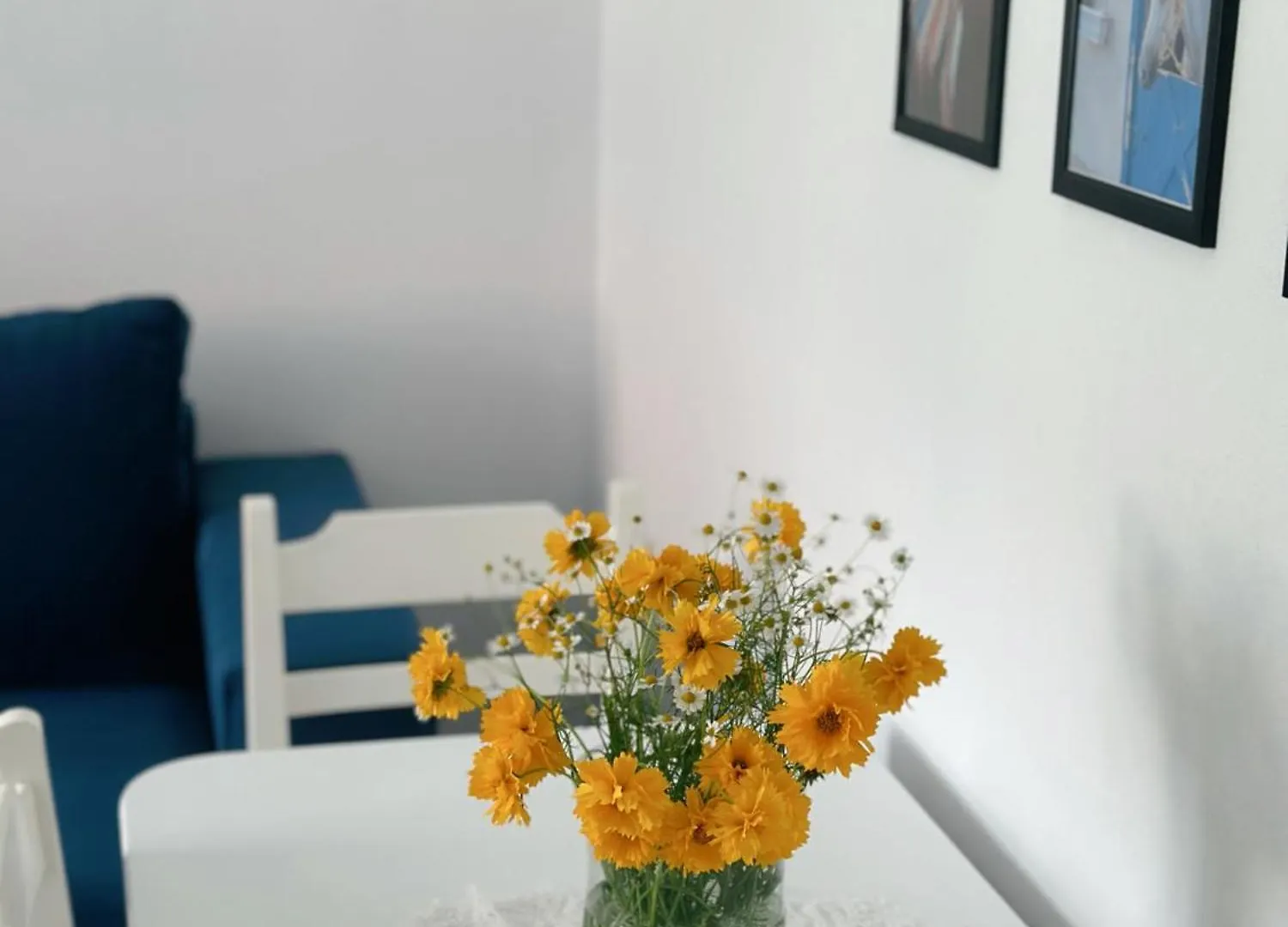 Js House Shkoder 4 Apartment 0*,  Albania